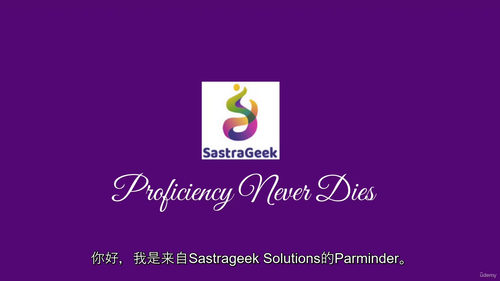 SAP MM（采购与寻源）面试模拟教程 (中文字幕英文视频教