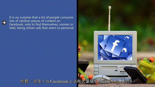 Facebook 广告实战秘籍（全 7 套进阶课程）  (中