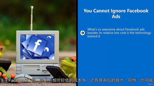 Facebook 广告实战秘籍（全 7 套进阶课程）  (中