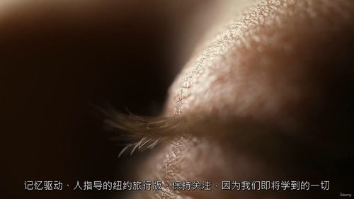 轻松掌握LangGraph:从基础到实战的智能代理开发指南