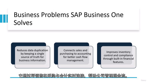 SAP Business One B1 成功通关学习指南