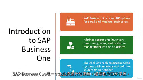 SAP Business One B1 成功通关学习指南