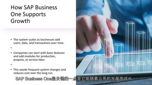 SAP Business One B1 成功通关学习指南