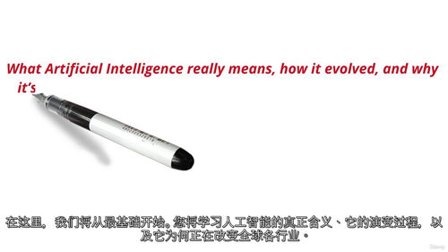 人工智能专业入门实战指南  (中文字幕英文视频教程)