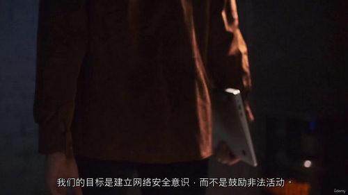 社会工程学与反网络钓鱼全攻防实战课程 (中文字幕英文视频教