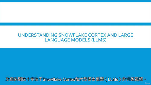Snowflake 生成式人工智能专业认证课程  (中文字幕
