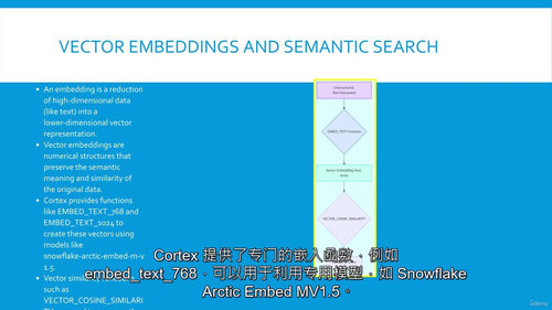 Snowflake 生成式人工智能专业认证课程 (中文字幕