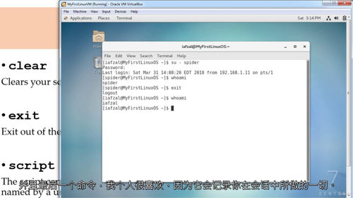 2024 全套 Linux 实战特训营：斩获理想 IT 工作