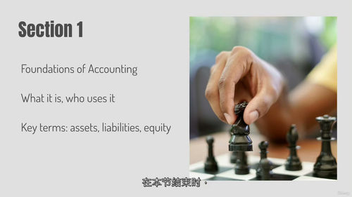 会计入门 101：簿记与财务基础指南  (中文字幕英文视频教