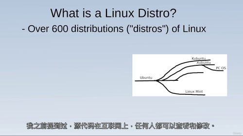Linux Mint 新手入门实战课程 (中文字幕英文视频