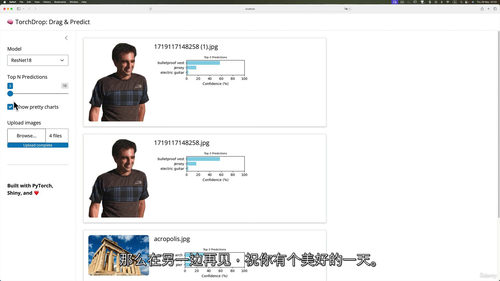 Python交互式数据科学：基于Shiny与PyTorch实
