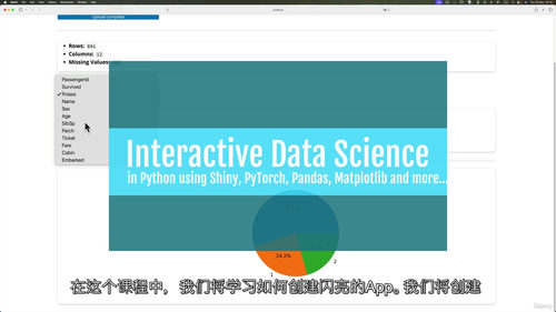 Python交互式数据科学：基于Shiny与PyTorch实