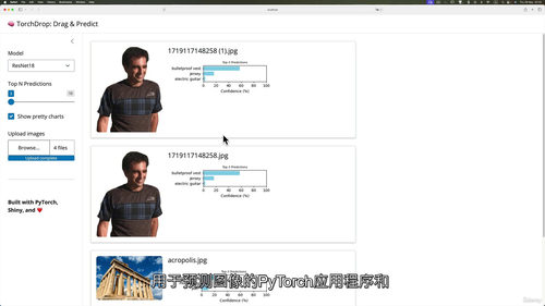 Python交互式数据科学：基于Shiny与PyTorch实