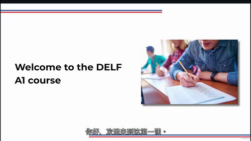 法语入门直达 DELF A1：零基础备考通关课程