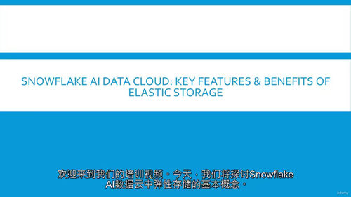 Snowflake SnowPro 助理级平台认证课程