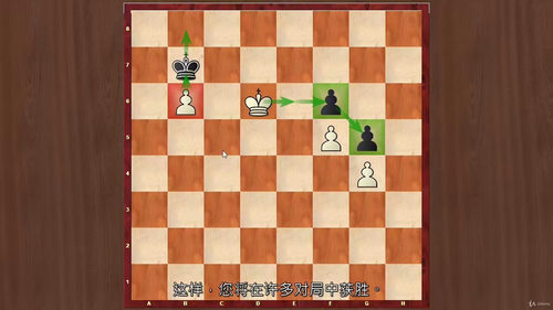 国际象棋残局精通 - 初学者终极指南 (英文视频课程中文外挂