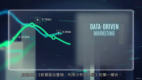 数据驱动营销实战课