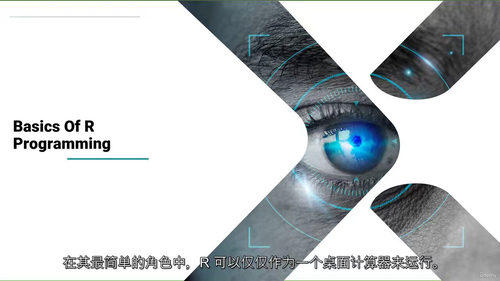 R 语言数据科学实战：从基础到进阶