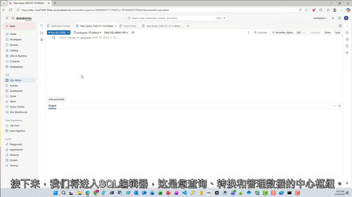 Databricks AI-BI实战教程