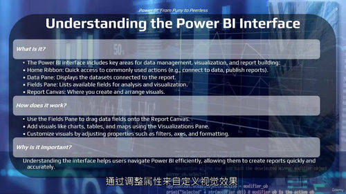 Power BI 从入门到精通 (中文字幕英文视频教程)