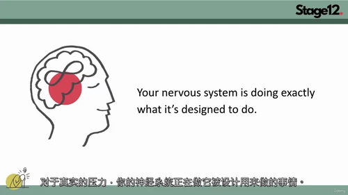 自信应对职场焦虑教程