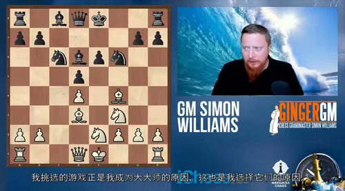 国际象棋攻防策略精讲