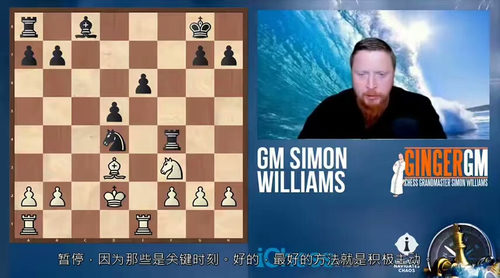 国际象棋攻防策略精讲