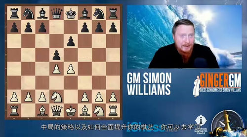 国际象棋攻防策略精讲