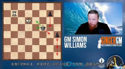 国际象棋攻防策略精讲