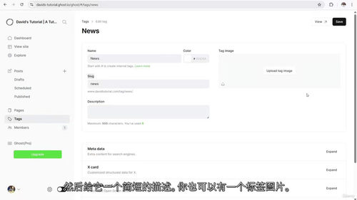 Ghost (PRO) 博客与邮件通讯网站搭建实战指南