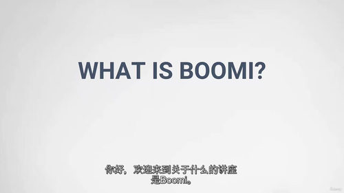 戴尔博米基础课程（中字）