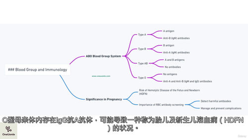 医学免疫学:USMLE Step 1 备考课程 (中文字幕
