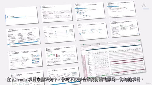 企业重组与财务建模实战课程  (中文字幕英文视频教程)