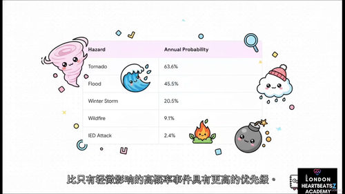 战略规划与管理文凭课程 (中文字英文视频教程)