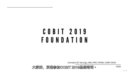 COBIT 2019基础认证备考课程：构建企业治理与管理的知