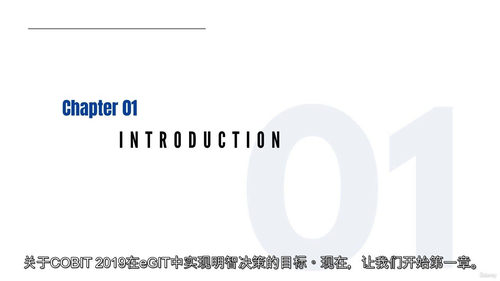 COBIT 2019基础认证备考课程:构建企业治理与管理的知