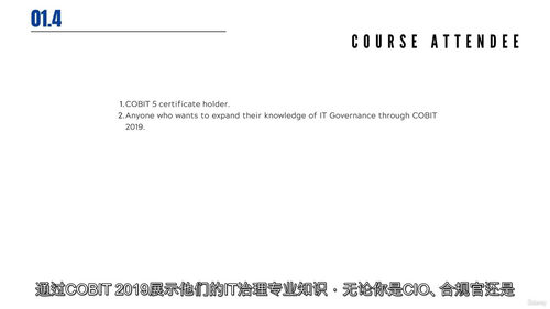 COBIT 2019基础认证备考课程:构建企业治理与管理的知