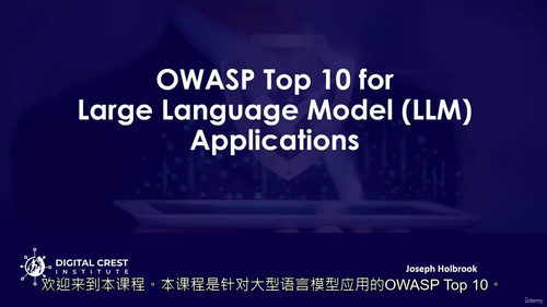 大语言模型安全入门 —— 基于 OWASP Top 10 安全风险防护指南