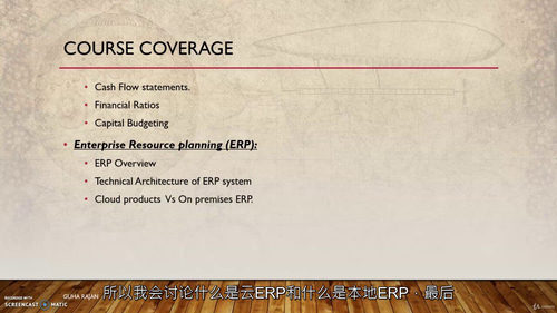 财务管理与企业资源规划(ERP)实战课程 (中文字幕英文视