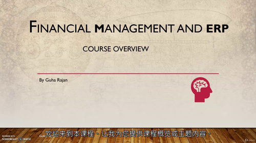 财务管理与企业资源规划（ERP）实战课程  (中文字幕英文视