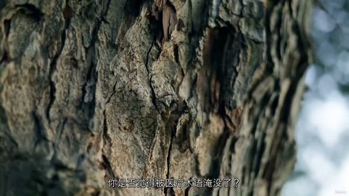 医疗健康项目管理文凭课程