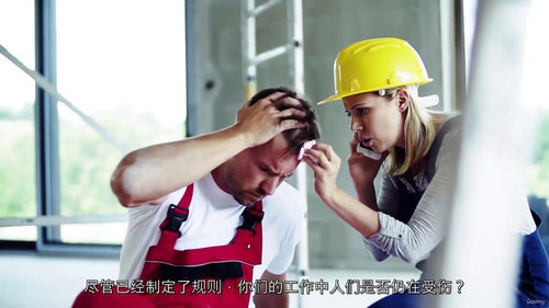 ISO 45001 职业健康安全管理体系入门