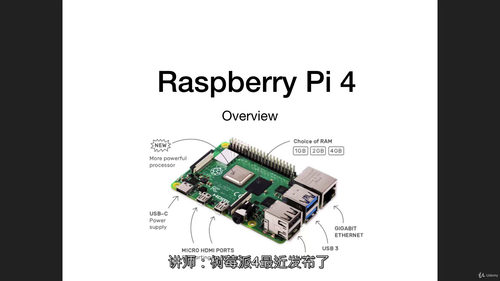 树莓派终极指南：实用技巧与安全应用  (中文字幕英文视频教程