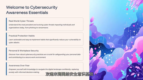网络安全意识基础：安全上网指南