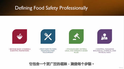 食品安全基础:卫生与控制体系