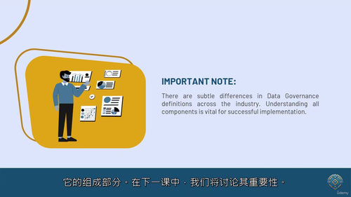 数据治理基础——核心原理、框架与实践指南 (中文字英文视频教