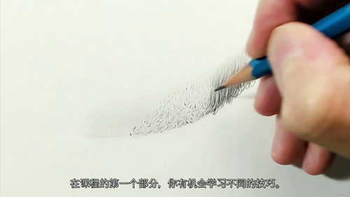 石墨写实毛发胡须技法