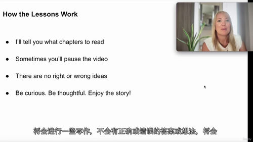 阅读技能小说研读