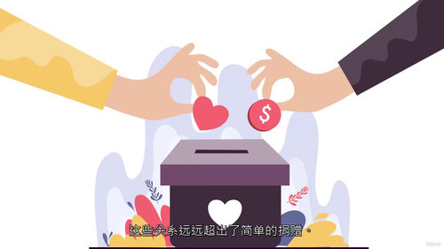 非营利组织企业合作与赞助实战指南 (中文字幕英文视频教程)