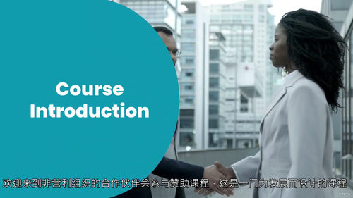 非营利组织企业合作与赞助实战指南 (中文字幕英文视频教程)
